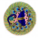 Peacock Feather Designer Poshak